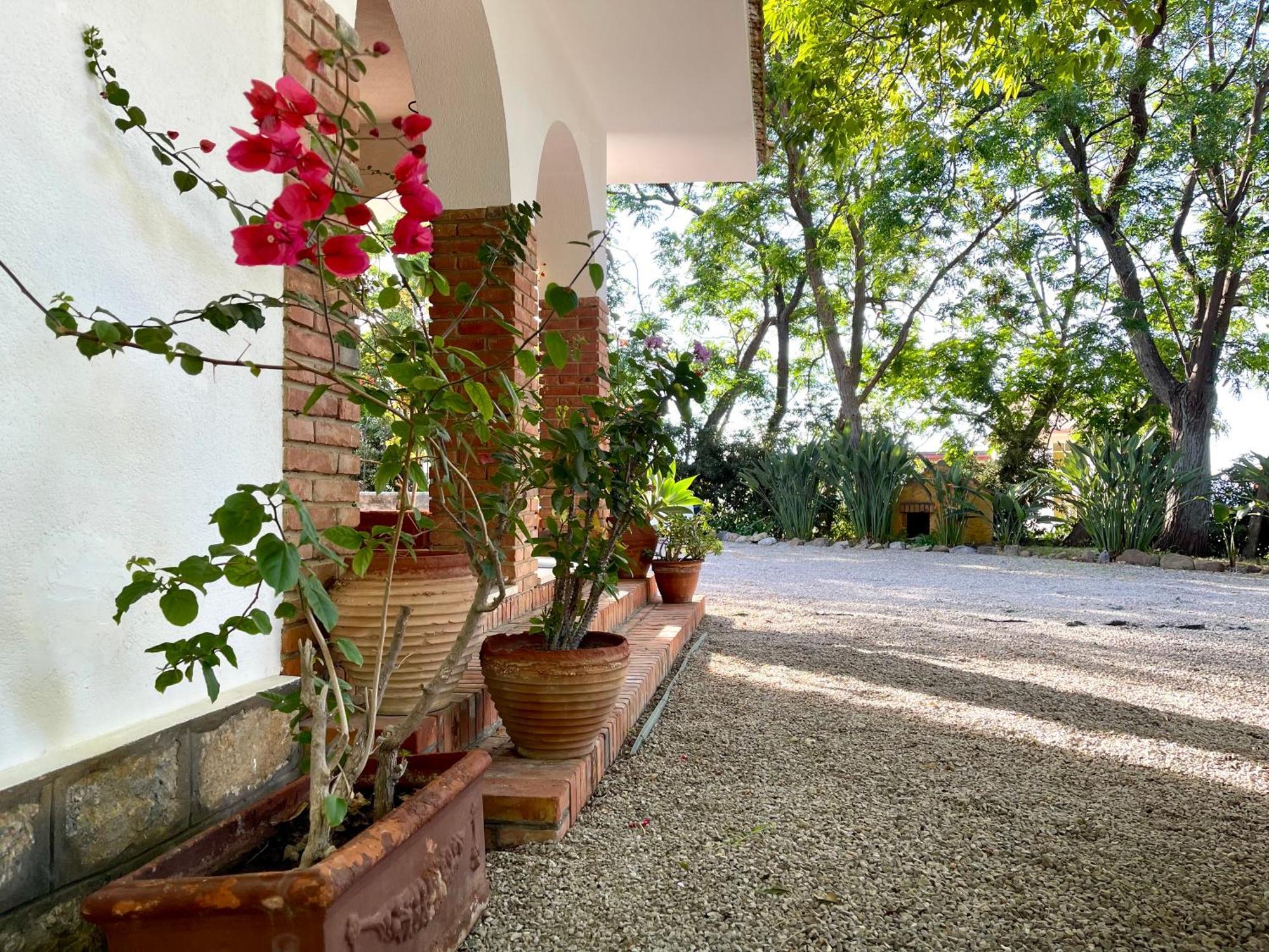 Villa Tana Pacenzia Чефалу Екстер'єр фото